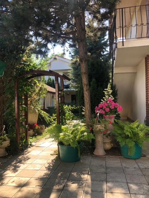 Suzana Garden Hotel เวนุส ภายนอก รูปภาพ